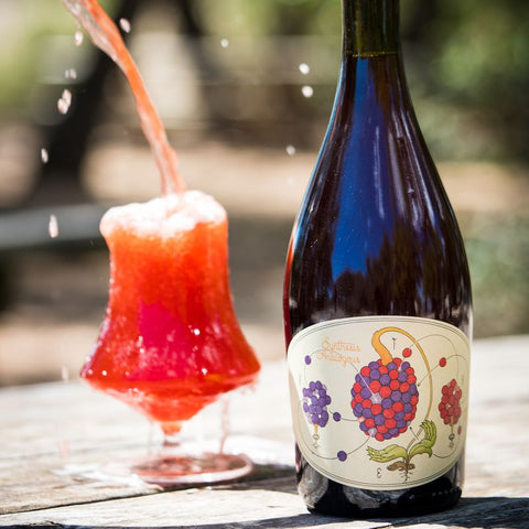 Jester King Synthesis Analoguos 2022 7.9% (750ml)